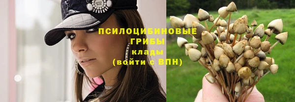 гидропоника Алзамай