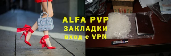 СК Алексин