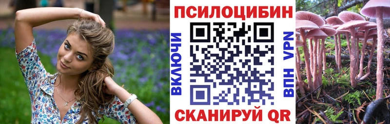 Галлюциногенные грибы GOLDEN TEACHER  Новомичуринск 